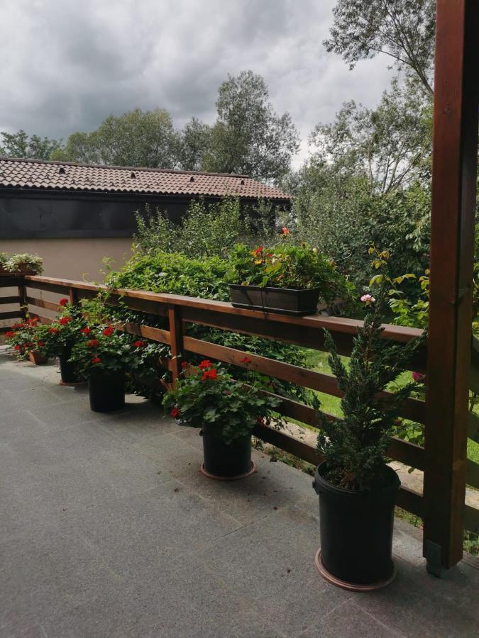 Celeste House Sibiu Buitenkant foto